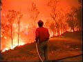 Fire rages through Australian Homestead Fire rages through Australian Homestead