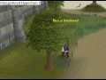 Aqworlds and Runescape: PEACE OR CHAOS