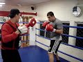 napao treinando boxe com cebola napao treinando boxe com cebola