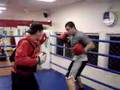 napao treinando boxe com cebola