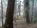 Fantic 200 and Montesa 349 day 2