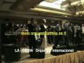 orquestas peru orquesta la trivia fiestas matrimonios eventos peru