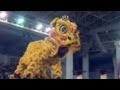 2007 Segamat Lion Dance Performance 大马昔加末武术协会醒狮团