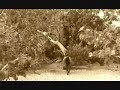Skipper - Revolver