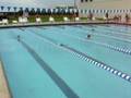 videos de Quinn Breaststroke