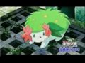 Shaymin cant stop the rain from falling