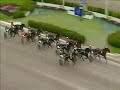MAHARAJAH - SVENSKT TRAV-KRITERIUM 2008