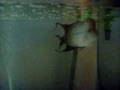032.AVI
