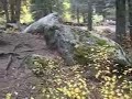 Journey Down Your Transformation Path