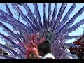 CARIBANA 2006!