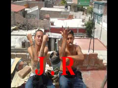 nortenos 14
