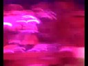 Heaven Can Wait - Iron Maiden - Bercy 2 Juillet 2008
