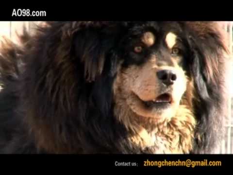 The Return Of The King