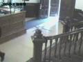 videos de Deer jumps through window!