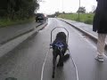 Deesea Training with the Saccowagon