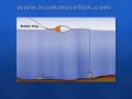 Carp Rigs - Fishing Show
