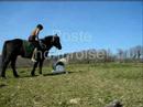 Nos d�buts en �thologie +2mois. Partie2