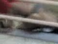 skodeng awek tudung maen kat tangga