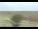 Grizwald Family Vacation - Ponca City Grizwald Family Vacation - Ponca City