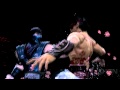 Mortal Kombat: Sub-Zero Fatalities