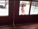 Oct 11 2008 - VID00003
