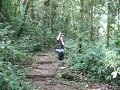 Liane dans la jungle