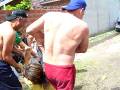 videos de al agua mama.