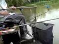 hazer landiin a carp