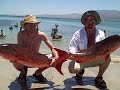 Dan and Lee Cook with Big Pargo from Muertos Bay April 2008 Dan and Lee Cook with Big Pargo from Muertos Bay April 2008