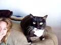 Meanest cat ever