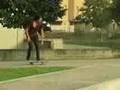 Wiga ANTIZ video ad