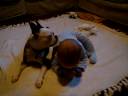 Best Friends Best Friends