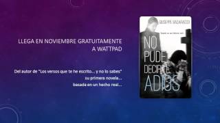 No pude decirte adiós