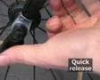 Bicycle Anatomy for Beginners