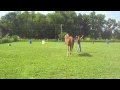 A day of Play