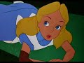 Dear Alice (The Shins in Wonderland)