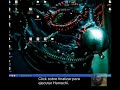VideoTutorial - Redes VPN HAMACHI