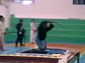 bujinkan veracruz