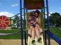 Stephaniee And Shanteni's Day At The Park