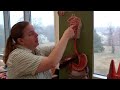 Anatomy and Physiology 2 anatomy model walk through for digestive system