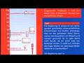 why saltzburg has a lower safety limit part 1 - 4 (DE)