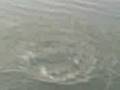 videos de pesca 1.3gp