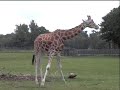 Zoo World