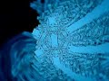 Dj Cellectro-Hardness