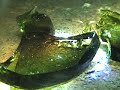 FRESNEL LENS SUN COLLECTOR MELTING GLASS SOLAR POWERED FOUNDRY