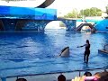 Dancing the ocean- orcinus orca in captivity!! Dancing the ocean- orcinus orca in captivity!!