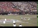 Fly Ball Insanity at the Renegade\