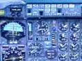 Flight Simulator Experience
