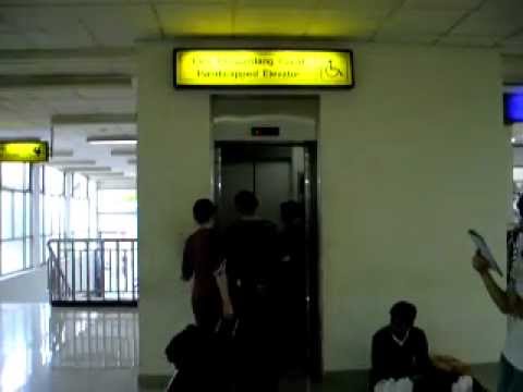 ngewe