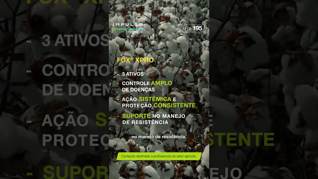 Como fazer o manejo eficiente de doenças no algodão | Teaser Impulso Negócios